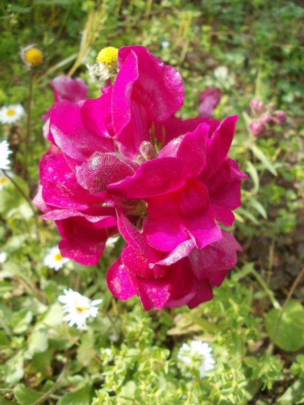 Name:  P1010073a.jpg
Views: 394
Size:  72.6 KB
