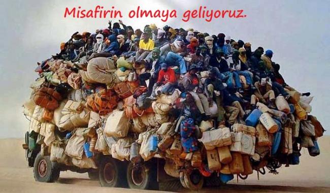 Name:  msf.jpg
Views: 4652
Size:  52.5 KB