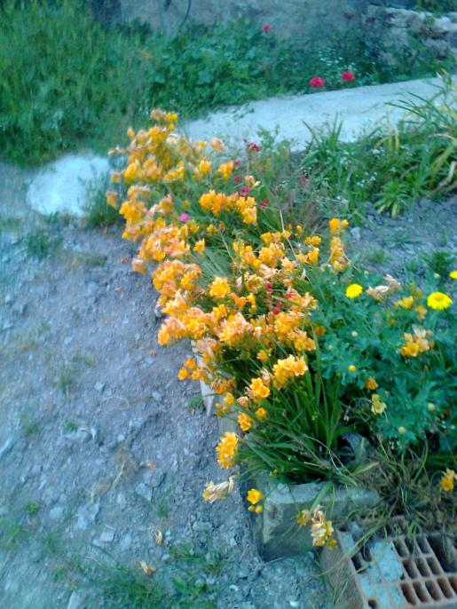 Name:  Fotoraf0373.jpg
Views: 4644
Size:  76.4 KB