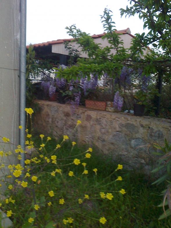 Name:  Fotoraf0368.jpg
Views: 4474
Size:  72.1 KB