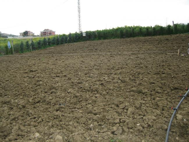 Name:  23nisan2014 026.jpg
Views: 879
Size:  61.5 KB