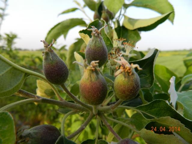 Name:  Resim 106.jpg
Views: 1290
Size:  41.1 KB