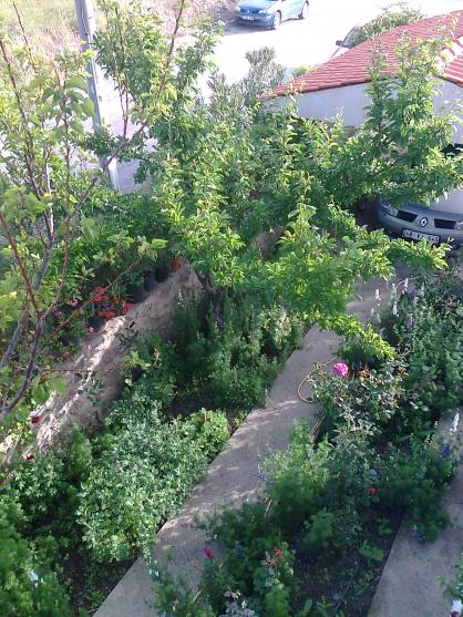 Name:  Fotoraf0490.jpg
Views: 910
Size:  75.1 KB