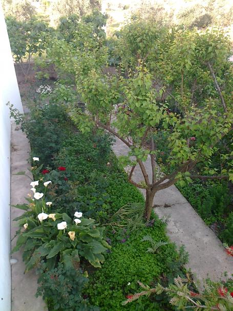 Name:  Fotoraf0489.jpg
Views: 888
Size:  74.2 KB