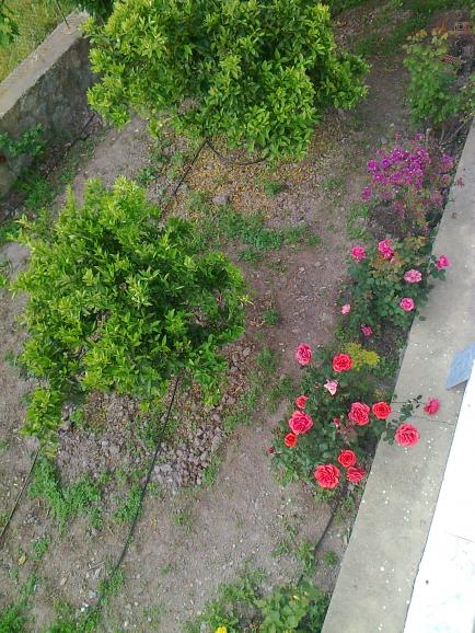 Name:  Fotoraf0504.jpg
Views: 1056
Size:  73.1 KB