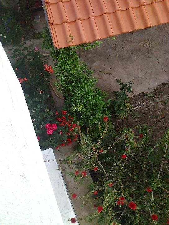 Name:  Fotoraf0505.jpg
Views: 871
Size:  72.0 KB