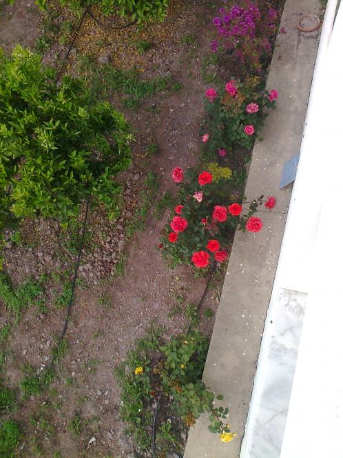 Name:  Fotoraf0503.jpg
Views: 895
Size:  72.4 KB