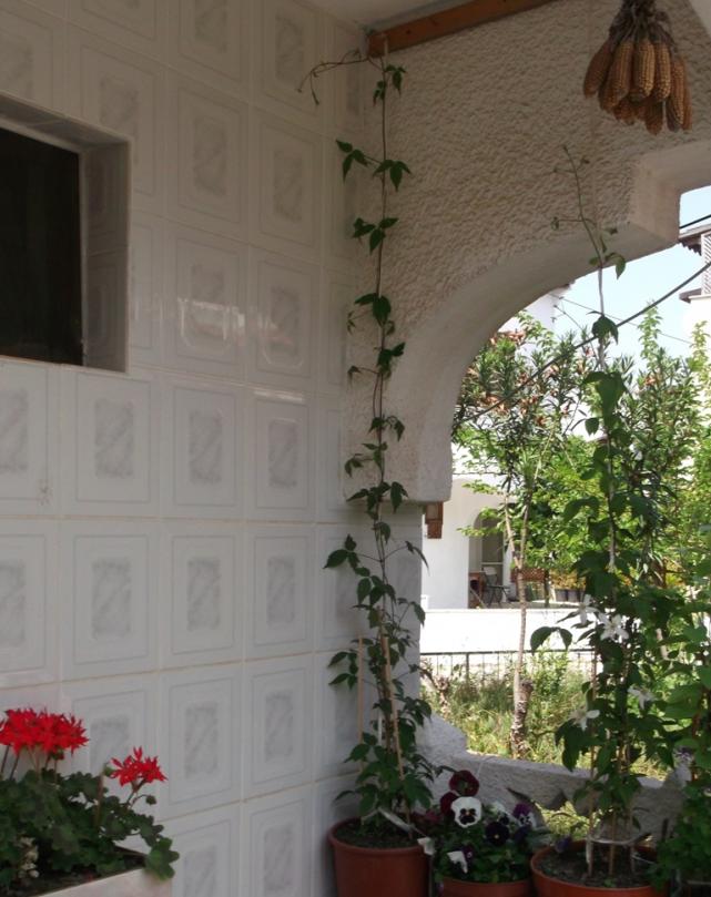 Name:  DSCF4606.jpg
Views: 470
Size:  70.6 KB