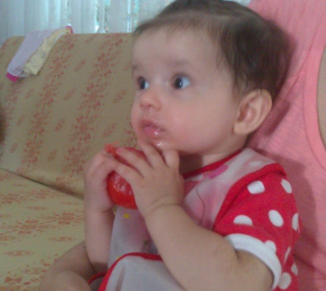 Name:  DSC_3608.jpg
Views: 576
Size:  35.2 KB