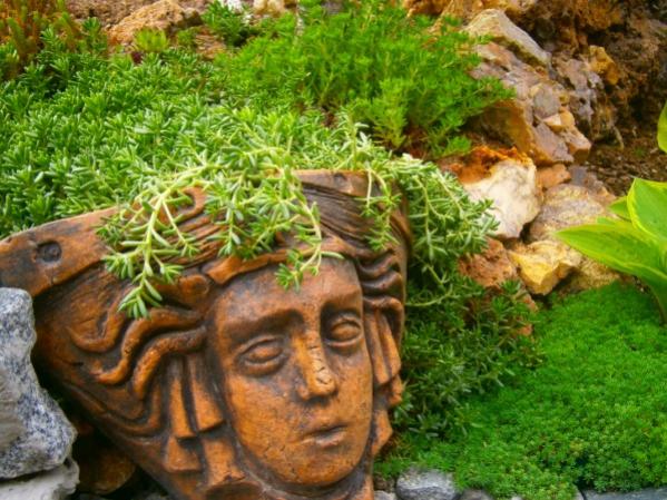 Name:  sedum.jpg
Views: 977
Size:  63.5 KB
