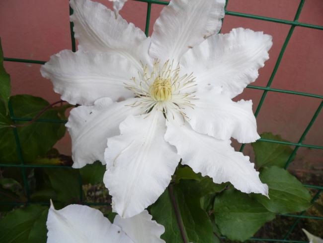 Name:  290-235.jpg
Views: 892
Size:  32.5 KB