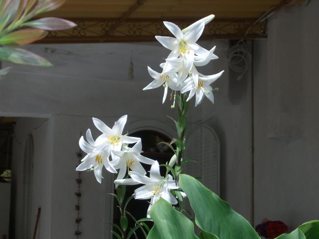 Name:  DSCF7019.jpg
Views: 572
Size:  31.2 KB