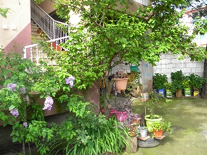 Name:  DSCN9586.JPG
Views: 388
Size:  67.3 KB