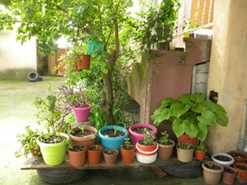 Name:  DSCN9592.JPG
Views: 370
Size:  66.9 KB
