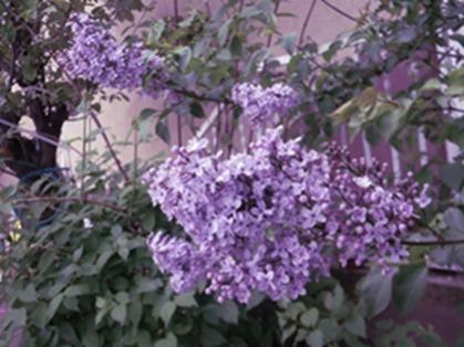Name:  DSCN9553.jpg
Views: 319
Size:  28.2 KB