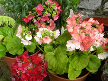 Name:  DSCN9608.JPG
Views: 305
Size:  65.8 KB