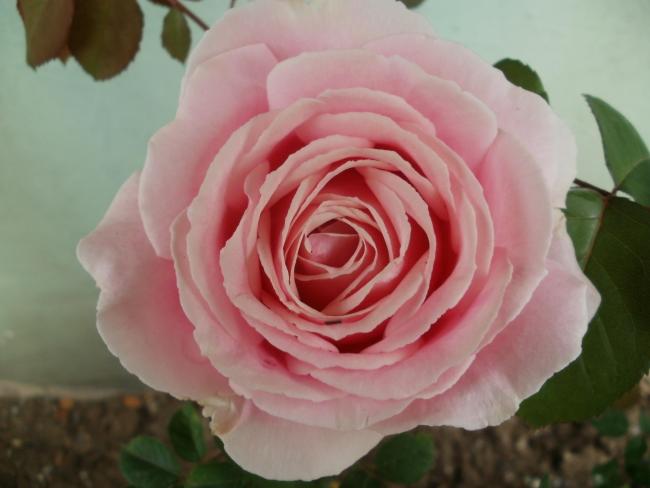 Name:  P5050432a.jpg
Views: 402
Size:  30.7 KB