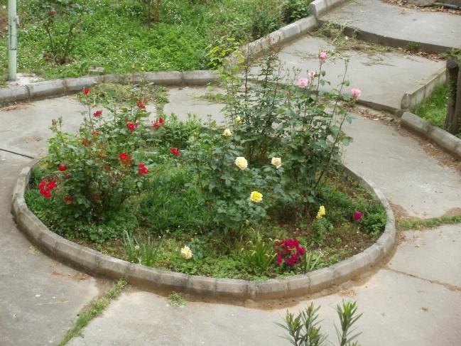 Name:  P5050405a.jpg
Views: 403
Size:  70.1 KB