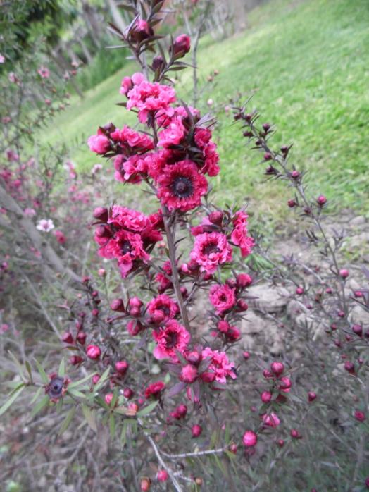 Name:  260-261.jpg
Views: 1063
Size:  68.9 KB