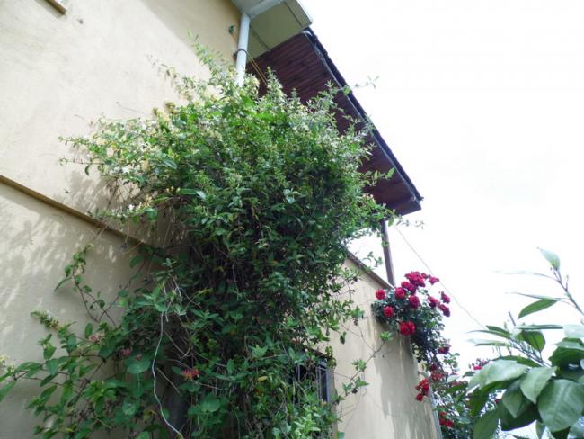 Name:  186-208.jpg
Views: 1019
Size:  54.5 KB