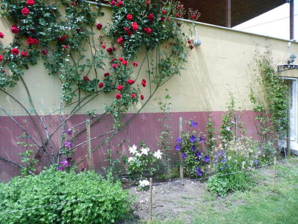 Name:  160-160.jpg
Views: 1101
Size:  70.6 KB