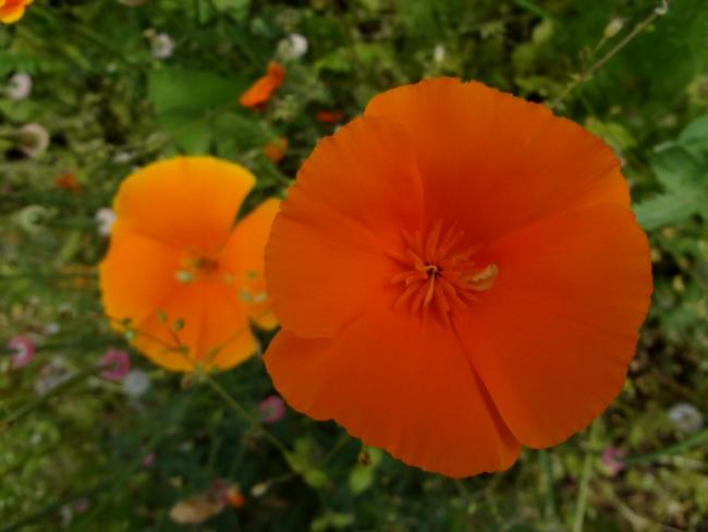 Name:  f54.jpg
Views: 712
Size:  29.5 KB
