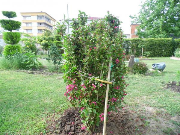 Name:  016-016.jpg
Views: 949
Size:  71.7 KB