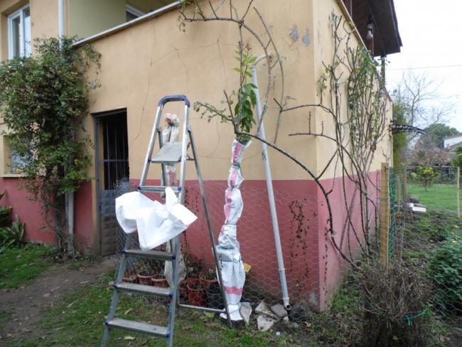 Name:  41-041.jpg
Views: 899
Size:  60.5 KB