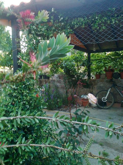 Name:  Fotoraf0641.jpg
Views: 659
Size:  76.8 KB