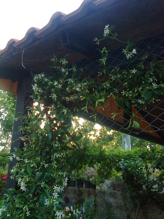 Name:  Fotoraf0644.jpg
Views: 642
Size:  74.9 KB