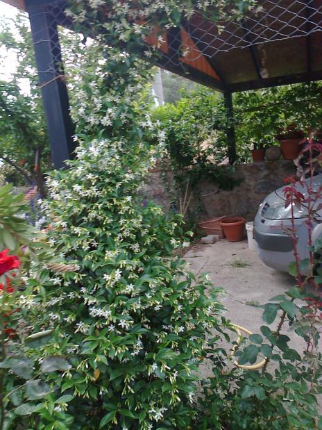 Name:  Fotoraf0723.jpg
Views: 675
Size:  78.7 KB