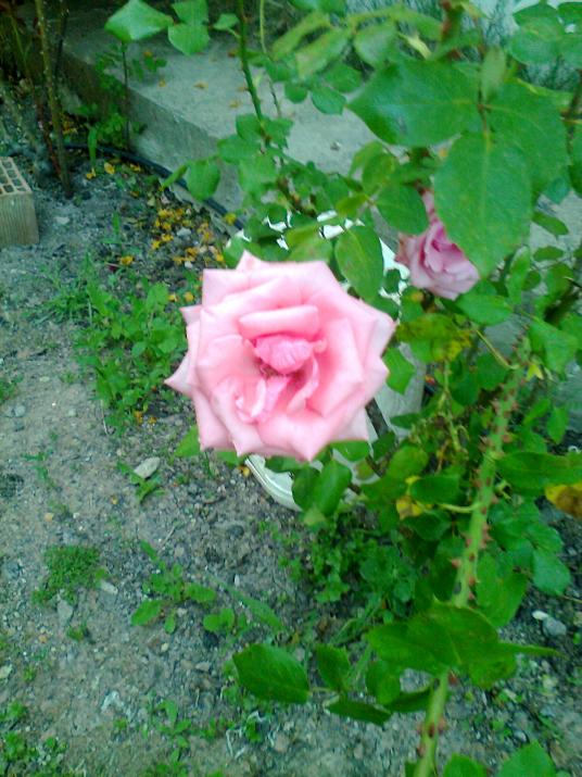 Name:  Fotoraf0648.jpg
Views: 648
Size:  74.9 KB