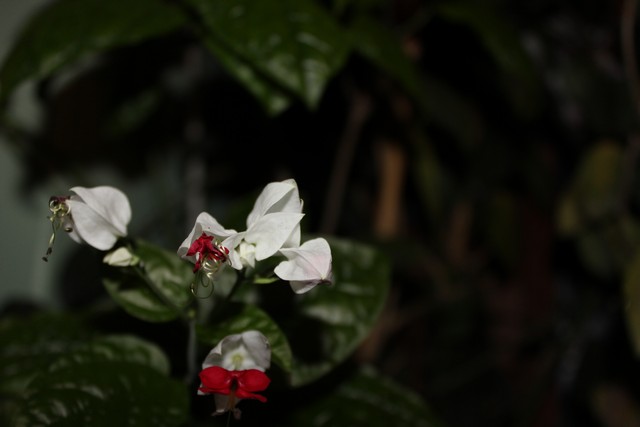 Name:  IMG_1074.jpg
Views: 460
Size:  47.2 KB