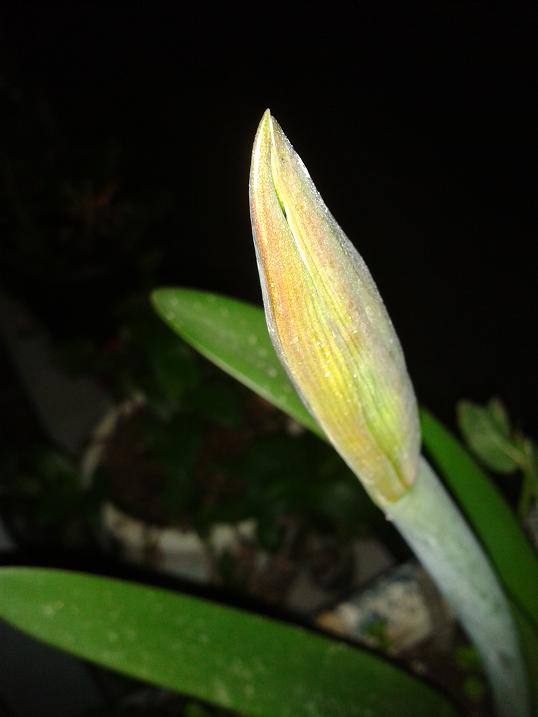 Name:  2014-04-27 02.24.24.jpg
Views: 704
Size:  35.8 KB