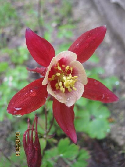 Name:  haseki1.jpg
Views: 1042
Size:  28.2 KB
