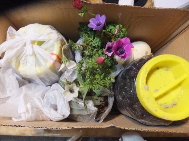 Name:  DSCF6312.jpg
Views: 388
Size:  44.2 KB