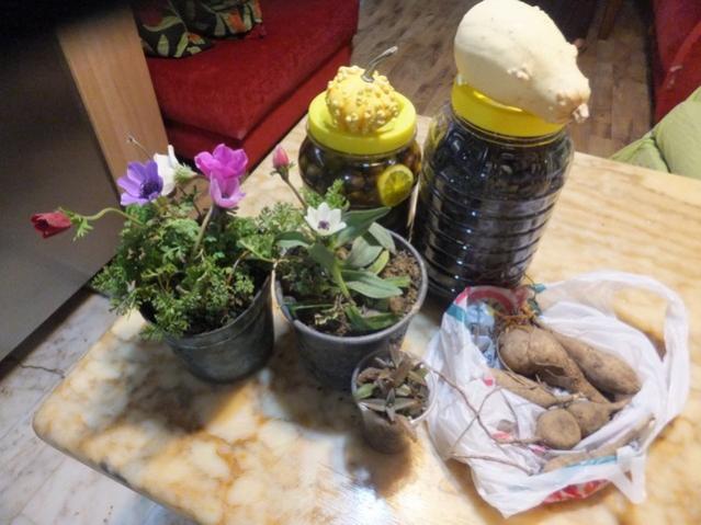Name:  DSCF6314.jpg
Views: 398
Size:  46.9 KB