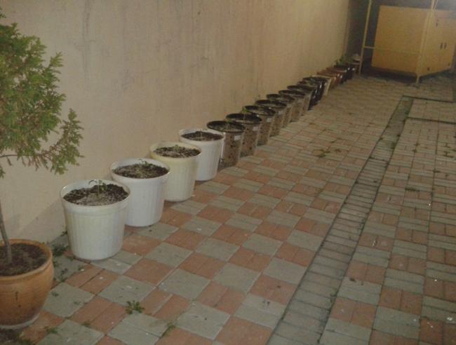 Name:  17.jpg
Views: 730
Size:  34.6 KB