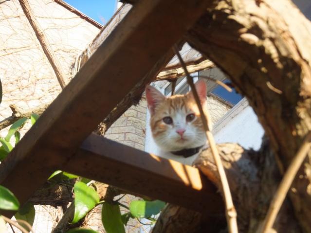 Name:  DSCF6565.jpg
Views: 281
Size:  42.1 KB