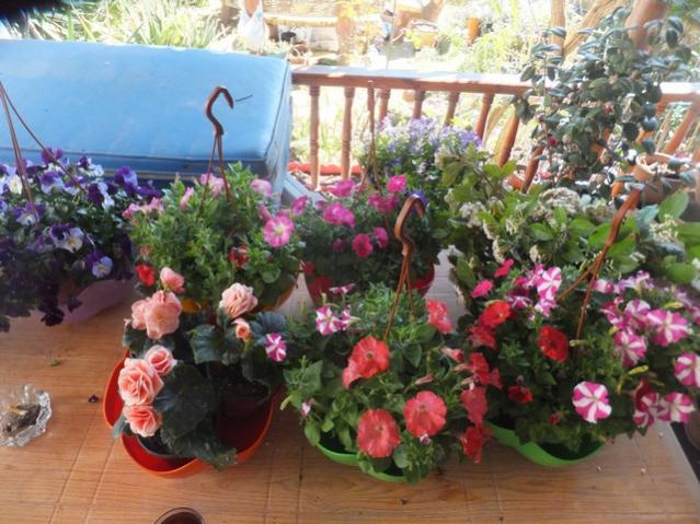 Name:  DSCF6735.jpg
Views: 564
Size:  61.8 KB