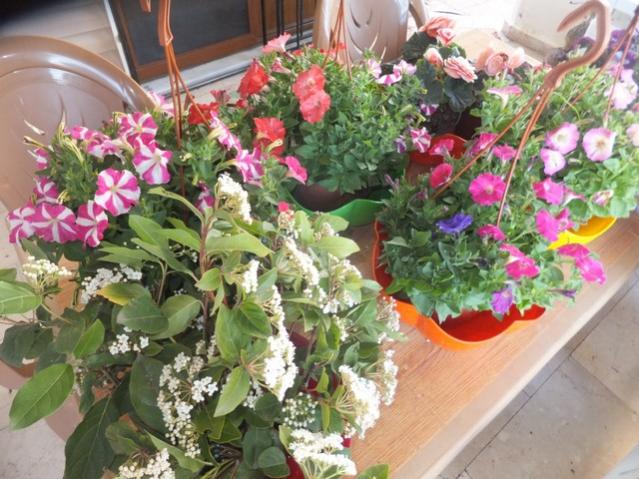 Name:  DSCF6742.jpg
Views: 582
Size:  63.3 KB