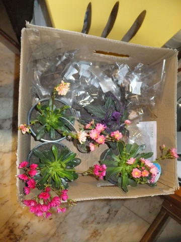 Name:  DSCF6833.jpg
Views: 545
Size:  63.1 KB