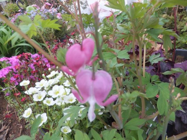 Name:  DSCF6936.jpg
Views: 518
Size:  61.0 KB