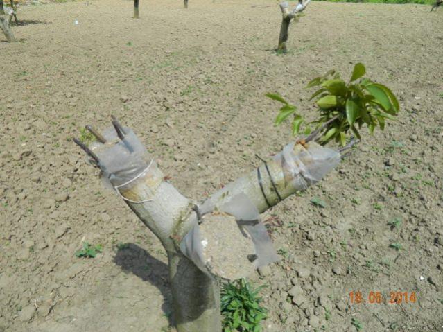 Name:  Resim 114.jpg
Views: 929
Size:  61.6 KB
