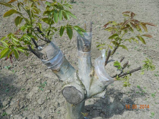 Name:  Resim 115.jpg
Views: 901
Size:  68.5 KB