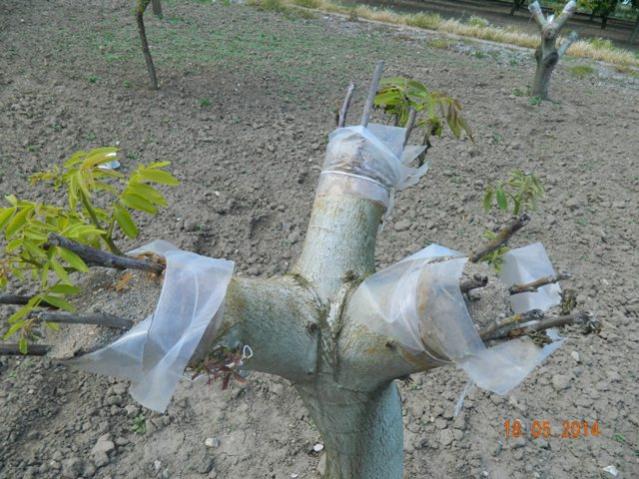 Name:  Resim 116.jpg
Views: 906
Size:  62.3 KB