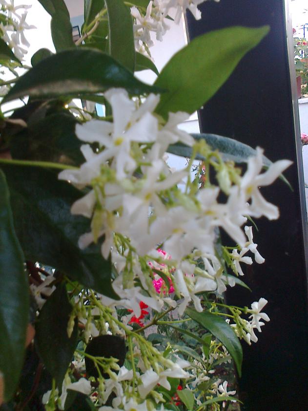 Name:  Fotoraf0864.jpg
Views: 595
Size:  70.4 KB