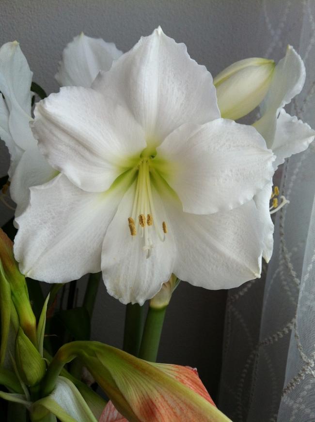 Name:  479.jpg
Views: 279
Size:  54.5 KB
