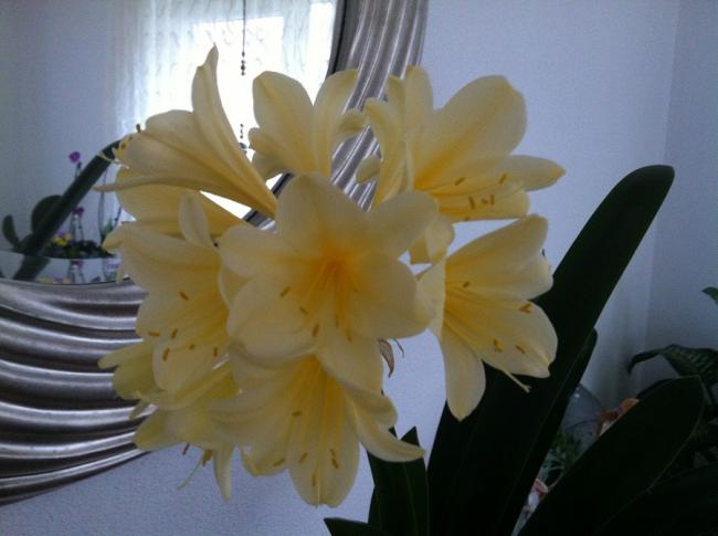 Name:  557.jpg
Views: 303
Size:  32.2 KB