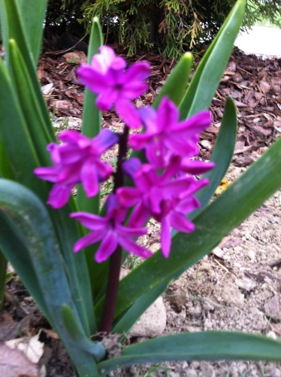 Name:  748.jpg
Views: 289
Size:  74.1 KB